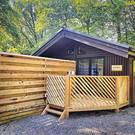 The Squirrel Lodge - Hot Tub - Pet Friendly - Pembrokeshire-Tenby Carmarthen Exterior photo